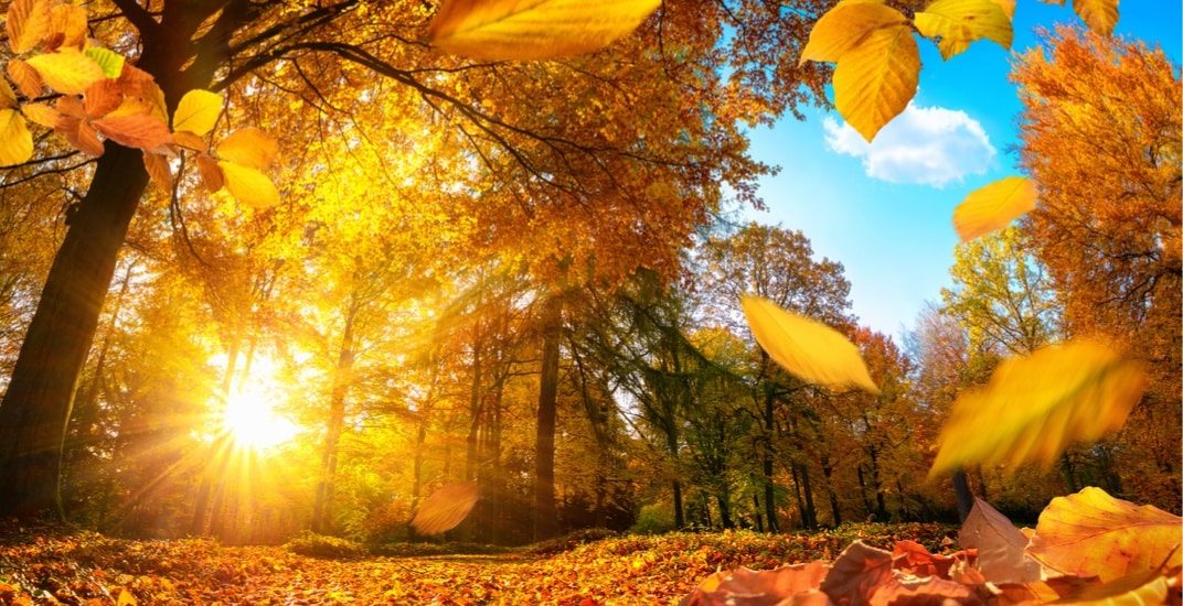 فصل الخريف في مقاطعات و مدن كندا هذا العام