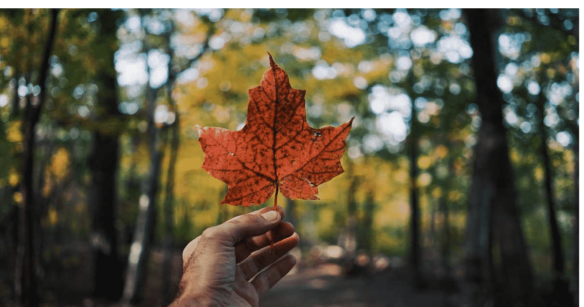 كندا تصنف من بين أفضل الأماكن للسياحة وفقاً للمنتدى الاقتصادي العالمي لعام 2019