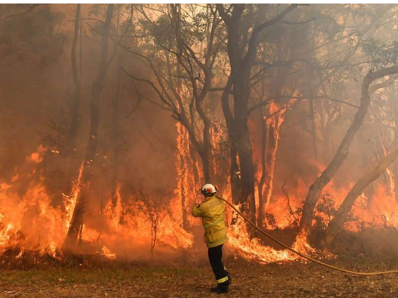 كندا ترسل المساعدات إلى أستراليا للعمل على إخماد الحرائق