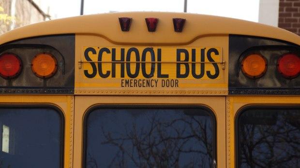 حافلات المدارس