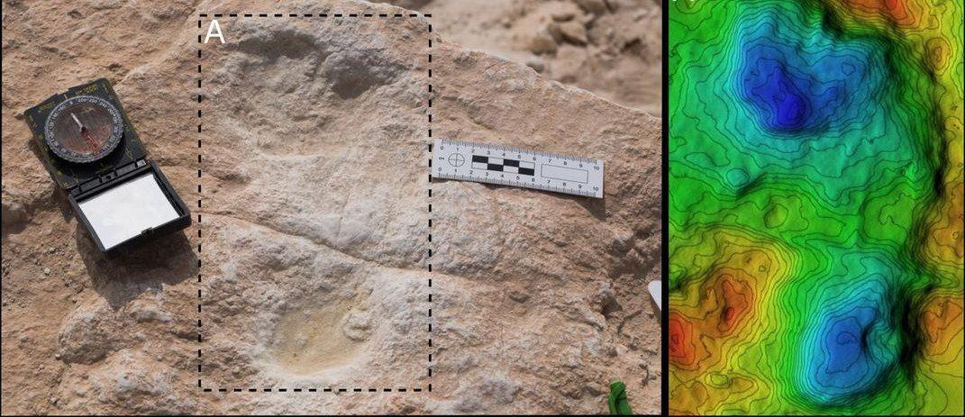 قد يصل عمر آثار الأقدام البشرية التي عُثر عليها في المملكة العربية السعودية إلى 120 ألف عام