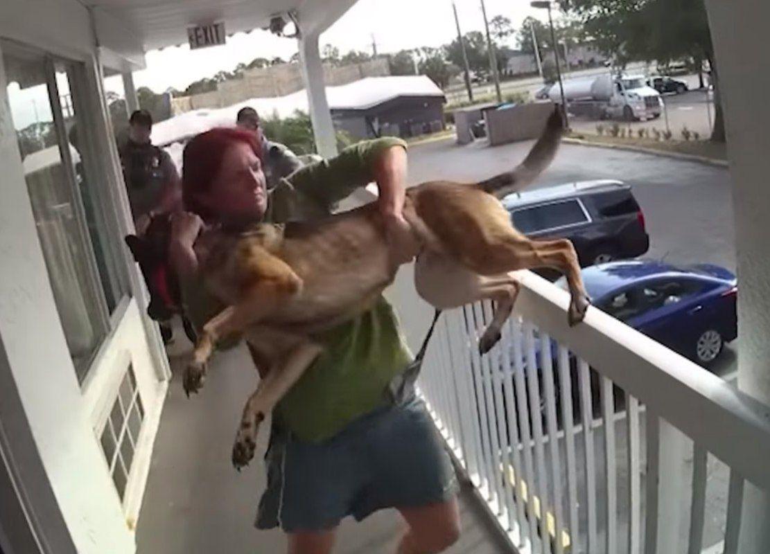 امرأة متهمة بالقسوة على الحيوان بعد رميها كلب من شرفة الفندق