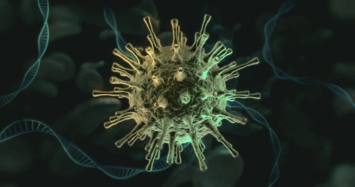 خبراء: كندا قد تشهد عودة فيروس كورونا بالرغم من تلقيح الجميع