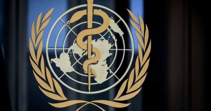 منظمة الصحة العالمية: إصدار جوازات سفر كورونا خطوة غير أخلاقية