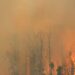 ساسكاتشوان تسجل أكثر من 150 حريق غابات نشط