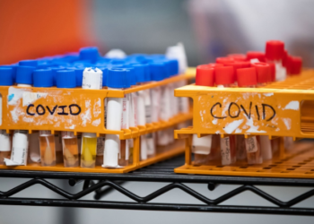 ألبرتا: ارتفاع أعداد المصابين بفيروس كورونا في المستشفيات