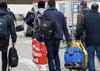 رواتب اللاجئين في هولندا