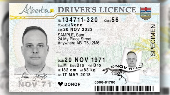 ألبرتا تسمح بتجديد رخصة القيادة وبطاقة الهوية عبر الإنترنت.. تعرف على المؤهلين
