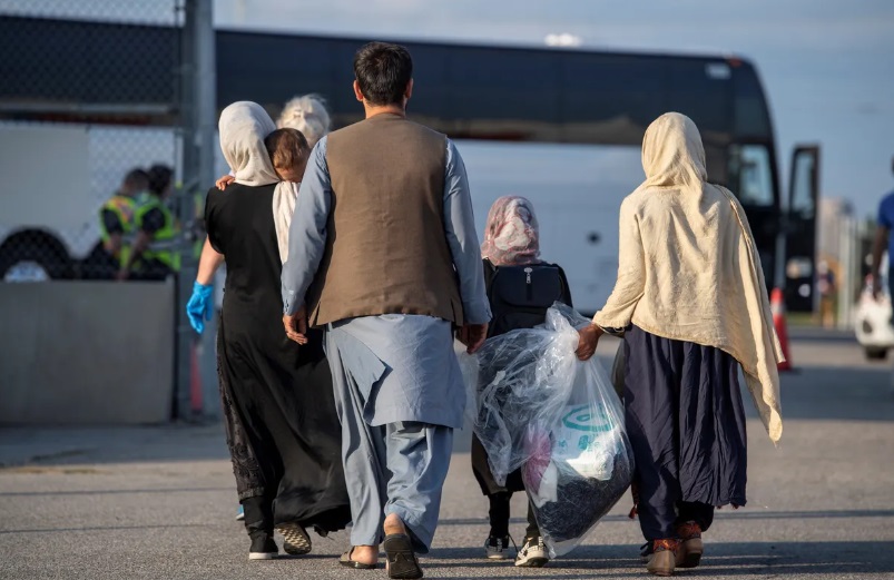 المفوضية السامية للأمم المتحدة تحذر من تأثير تراكم الهجرة في كندا على اللاجئين 