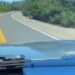 انتشار مقطع فيديو لرجل يصدم بسيارته حيوان الموظ عمدا في كيبيك