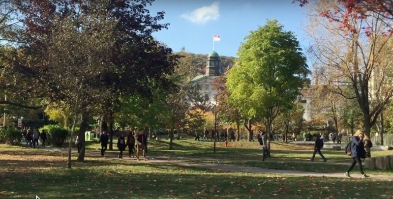 جامعة McGill