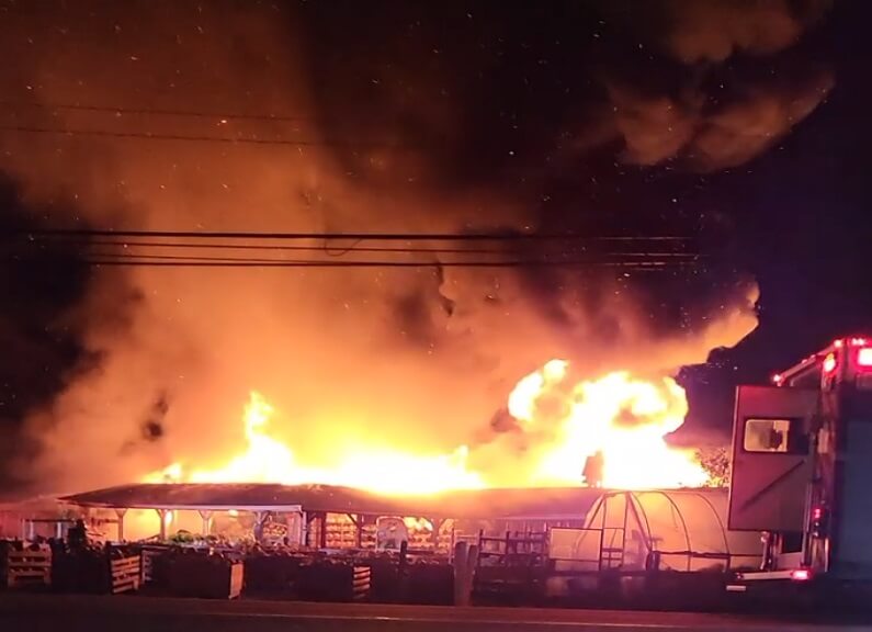 حريق هائل يلتهم متجر Green Pig Country في نيو برونزويك