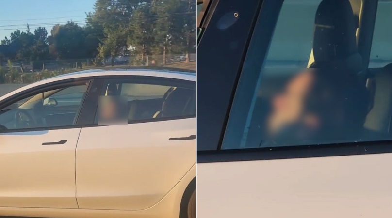 فيديو: سائق تسلا غارق في النوم أثناء القيادة بسرعة 100 كم/ساعة على طريق أونتاريو السريع المزدحم