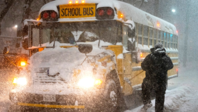 بعض مدارس تورنتو تلغي خدمة النقل قبيل العاصفة