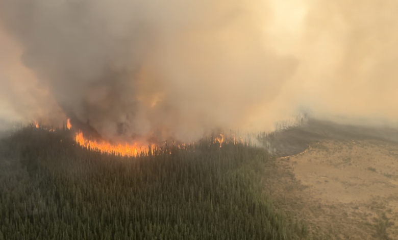 الملك تشارلز: أشعر بقلق بالغ بشأن حرائق الغابات التي تدمر المجتمعات في غرب كندا