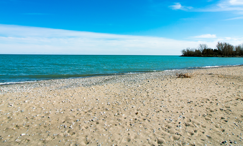 تُفتتح الشواطئ في تورنتو رسميا للموسم الأسبوع المقبل