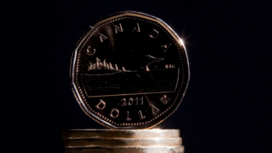 كيف يمكن أن تبدو العملة الرقمية الكندية؟