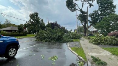 استمرار العمل على إزالة آثار وتبعات العاصفة الرعدية في أوتاوا