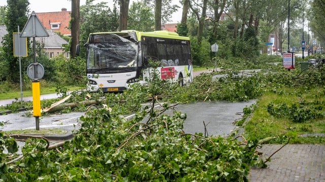 العاصفة "بولي" تقتل إمرأة.. والأرصاد الجوية الهولندية تحذر الملايين من الخروج من منازلهم
