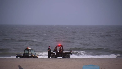 قرش يلتهم ساق راكبة أمواج في أحد شواطئ نيويورك