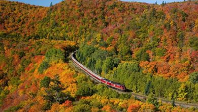 رحلة القطار الأكثر روعة في أونتاريو ستأخذك عبر وادٍ مليء بألوان الخريف 