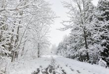 توقعات الطقس في كندا: الدوامة القطبية والثلوج يمكن أن تفسد خططك لعطلة عيد الشكر