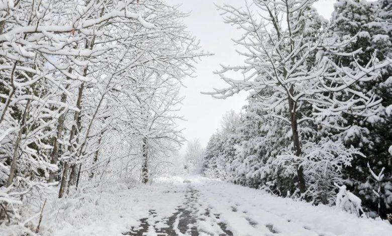 توقعات الطقس في كندا: الدوامة القطبية والثلوج يمكن أن تفسد خططك لعطلة عيد الشكر