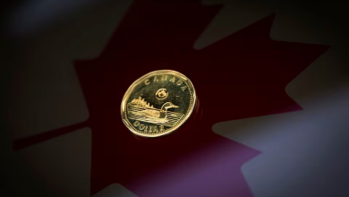 الدولار الكندي يرتفع إلى أعلى مستوى له في أربعة أشهر ونصف