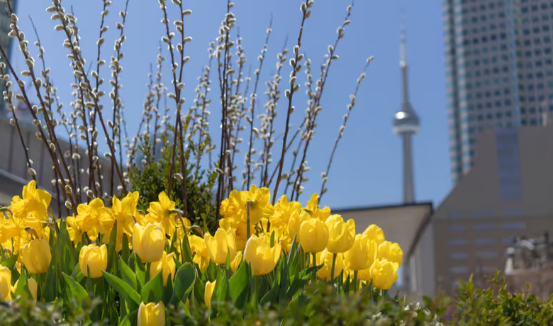 تقويم المزارعين يصدر توقعات موسم الربيع في أونتاريو