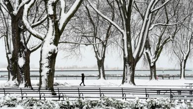 البيئة الكندية تصدر تحذيرا من السفر قبل تساقط كثيف للثلوج في تورنتو 
