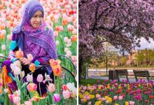 تصنيف مدينة كندية ضمن أفضل 5 أماكن في العالم لمشاهدة الزهور هذا الربيع