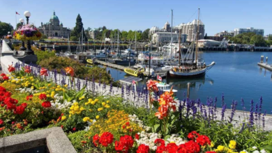 The most livable cities in Canada for newcomers in 2024