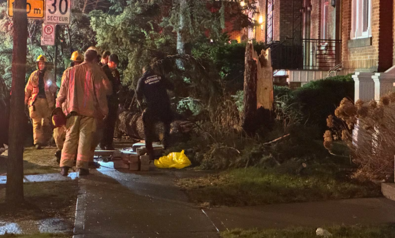 A teen boy, 15, is in critical condition after a tree fell on him in Montreal's Ahuntsic-Cartierville borough